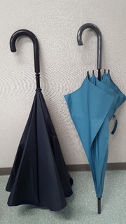 20180418_074222.jpg