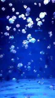 20181007_123253736.jpg