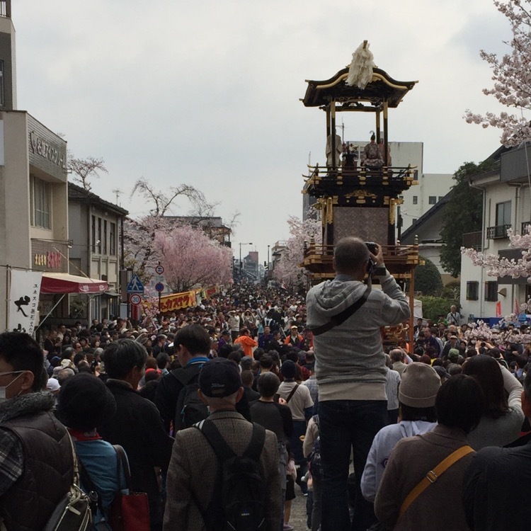 犬山祭り 坂井耳鼻咽喉科 スタッフブログ