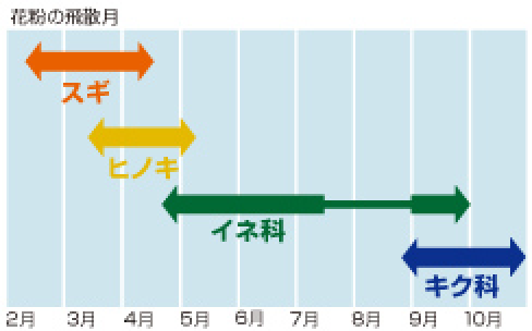 花粉症（スギ、ヒノキ、雑草） イラスト02